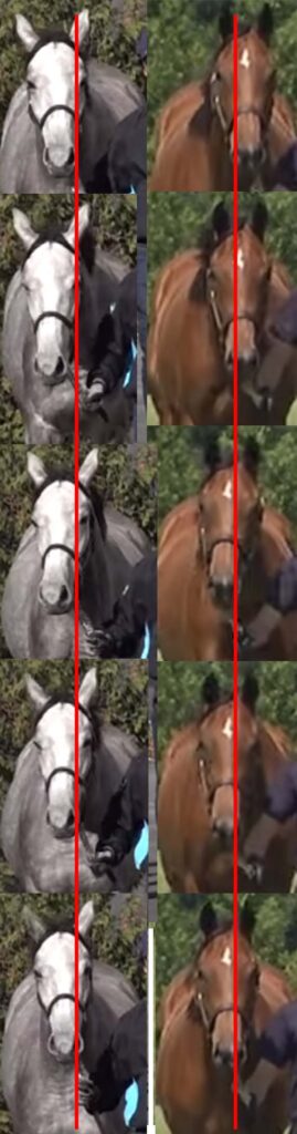 【馬体診断講座／馬の能力・上半身編】首の振り方の比較